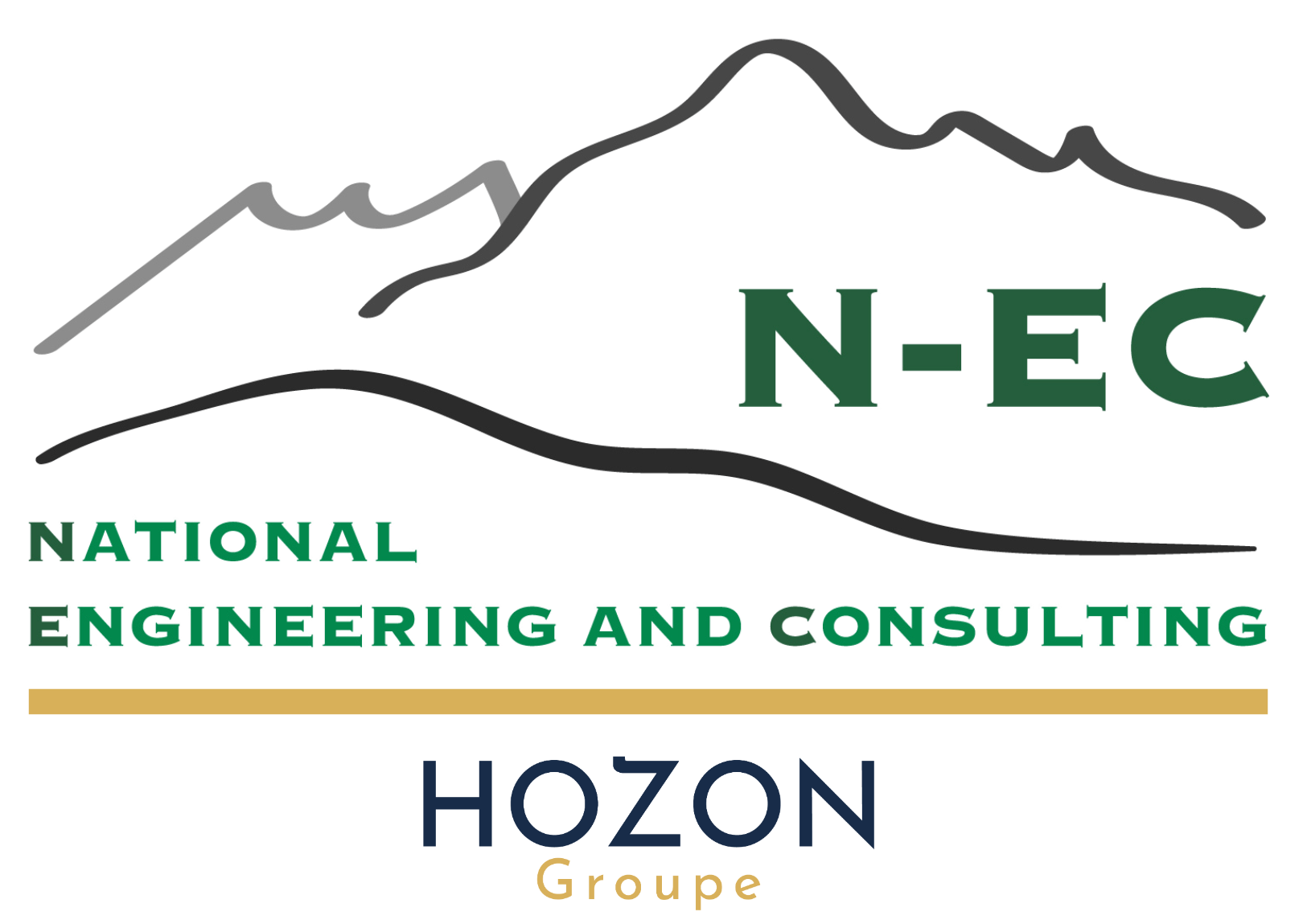 Logo National Engineering and consulting by groupe Hozon